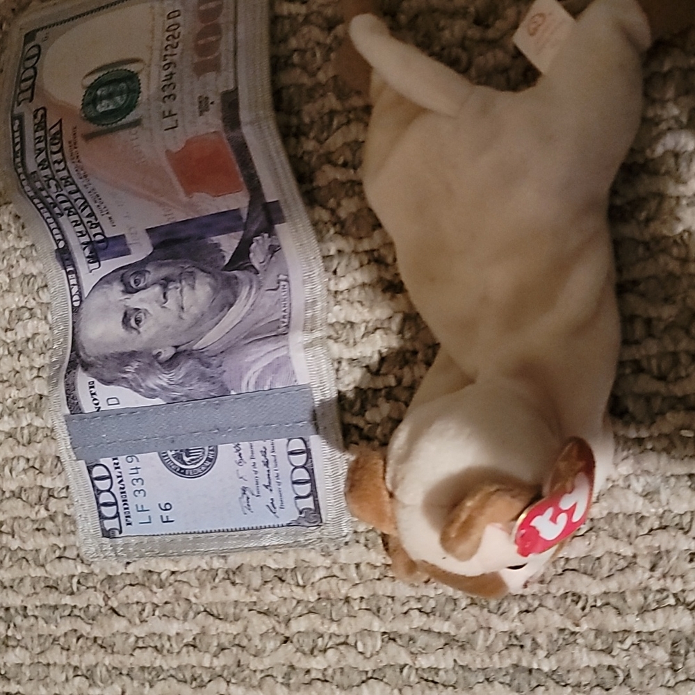 Wallet Watch A Ty Beanie Baby Cat 9 - image 1